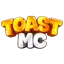 Ikona serwera toastmc.pl