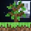 Ikona serwera anothermc.pl