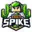 Ikona serwera spikemc.pl